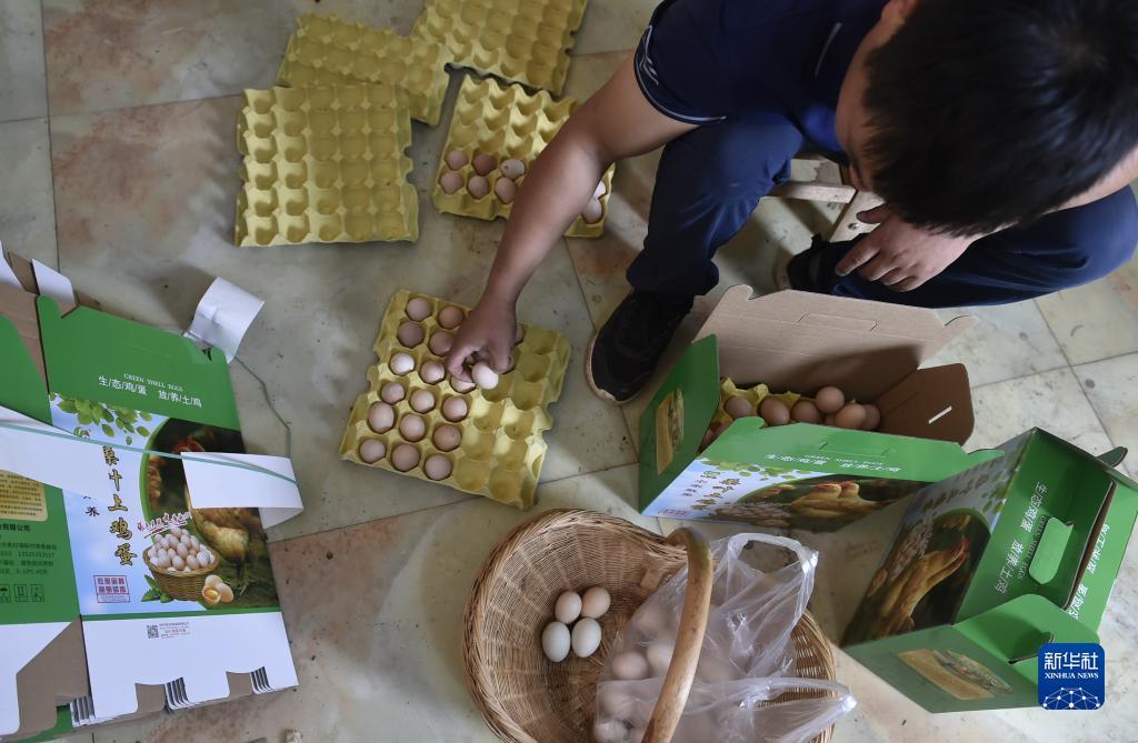 阿拉斗牛最新下载